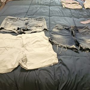 Size 11 shorts